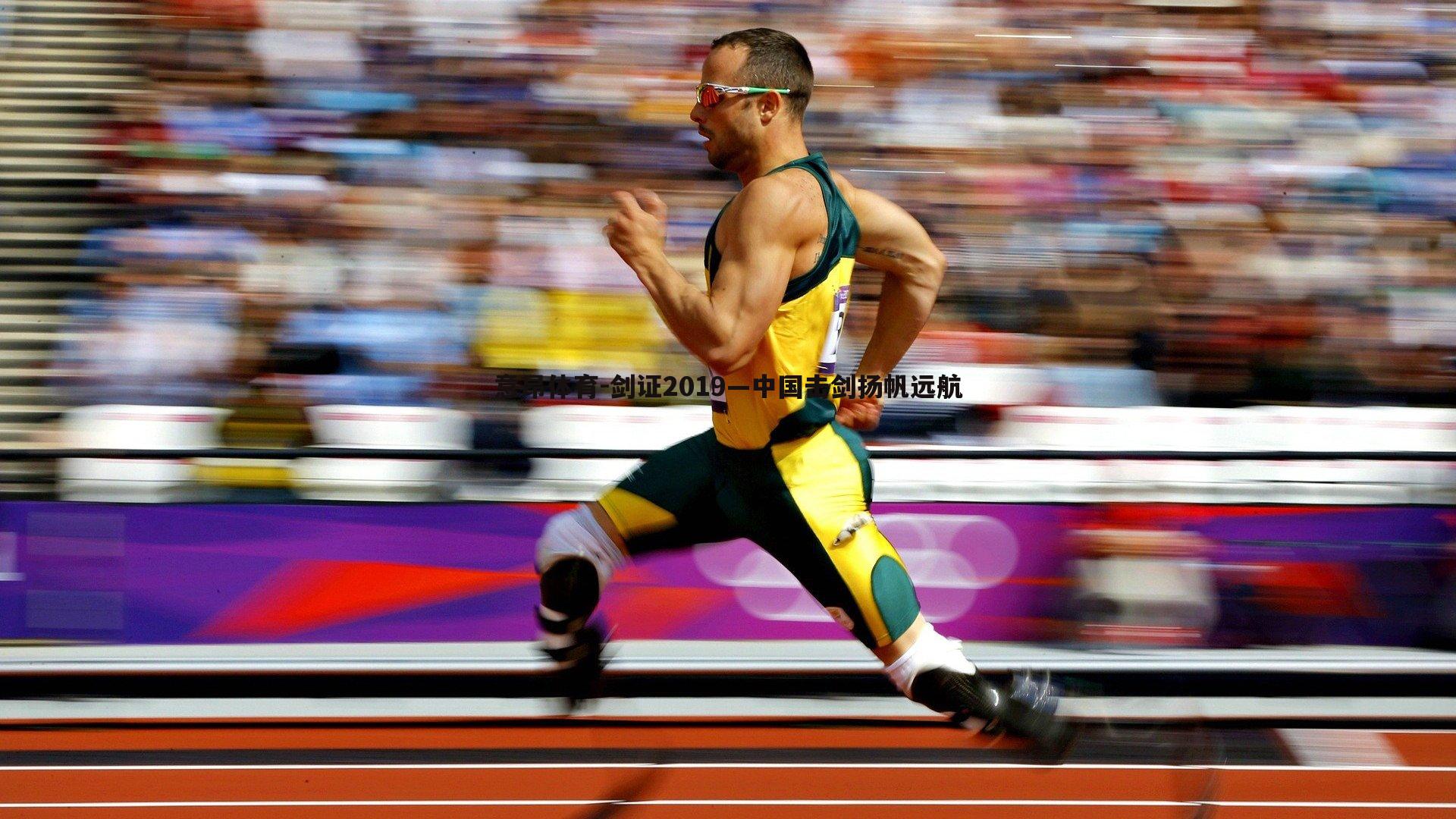 剑证2019—中国击剑扬帆远航